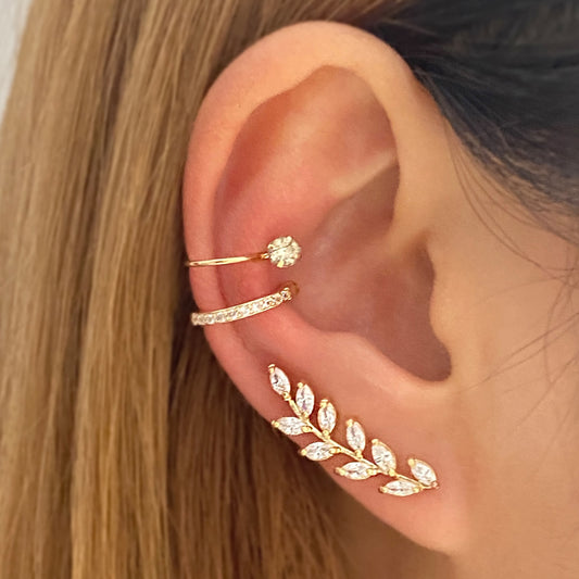 Women Earring Set - 3538