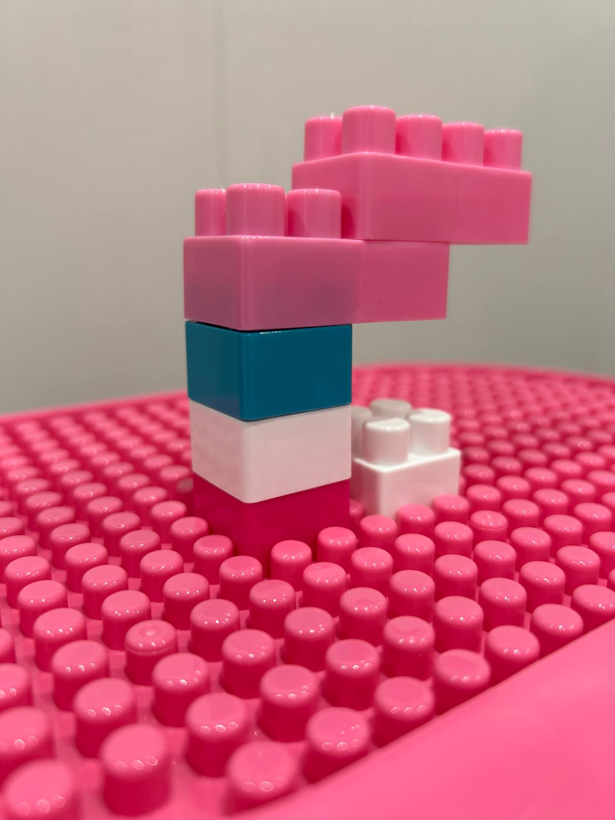 pink rolling building blocks bin with 300 large bricks